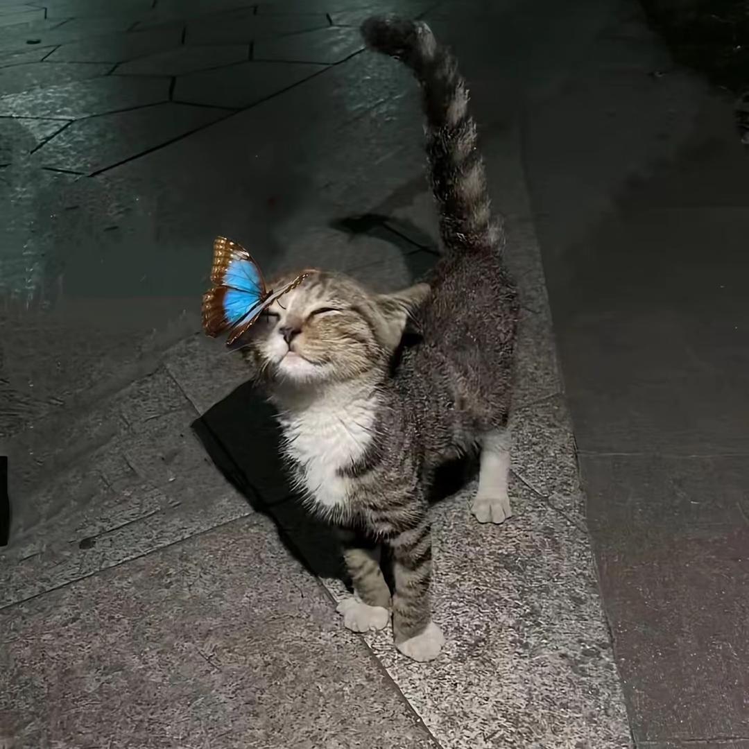 路羽