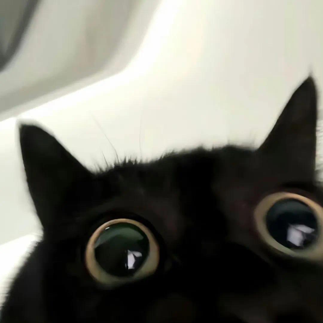 ㅤㅤㅤ   ㅤ