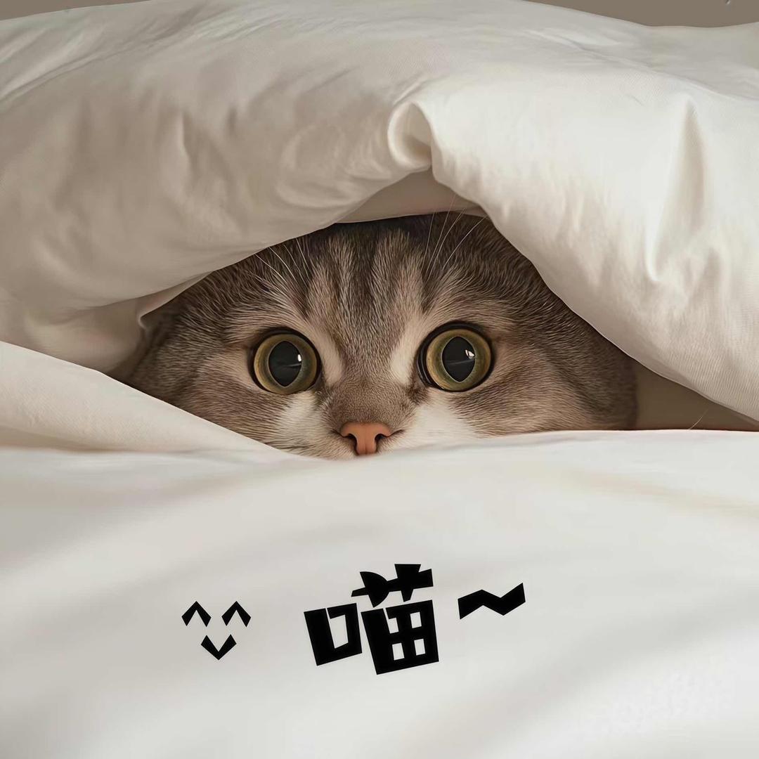 🌺艾米乐