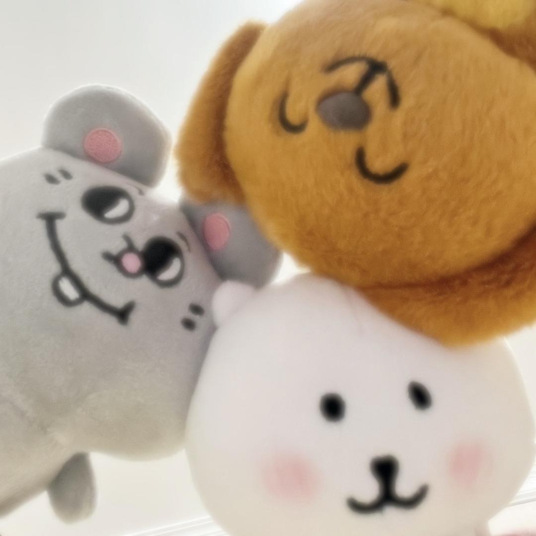 小五十的快乐星球