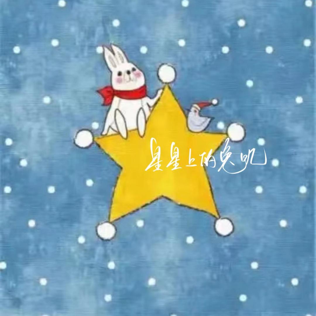 星星上的兔叽