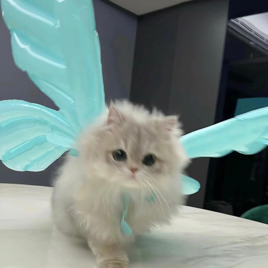 我一直很幸福