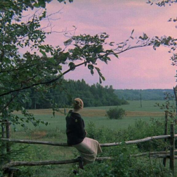 一蓑烟雨任平生🌻🌻