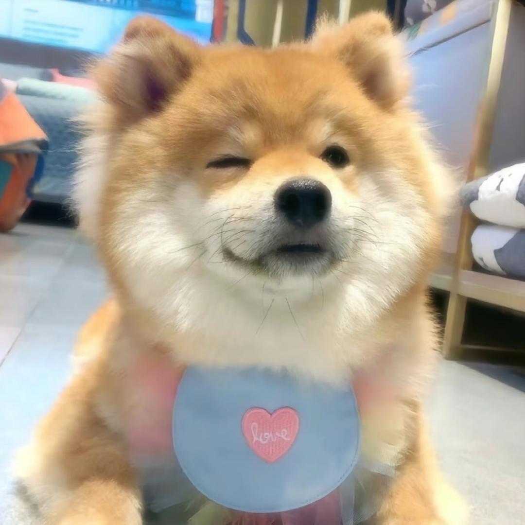 需要睡觉