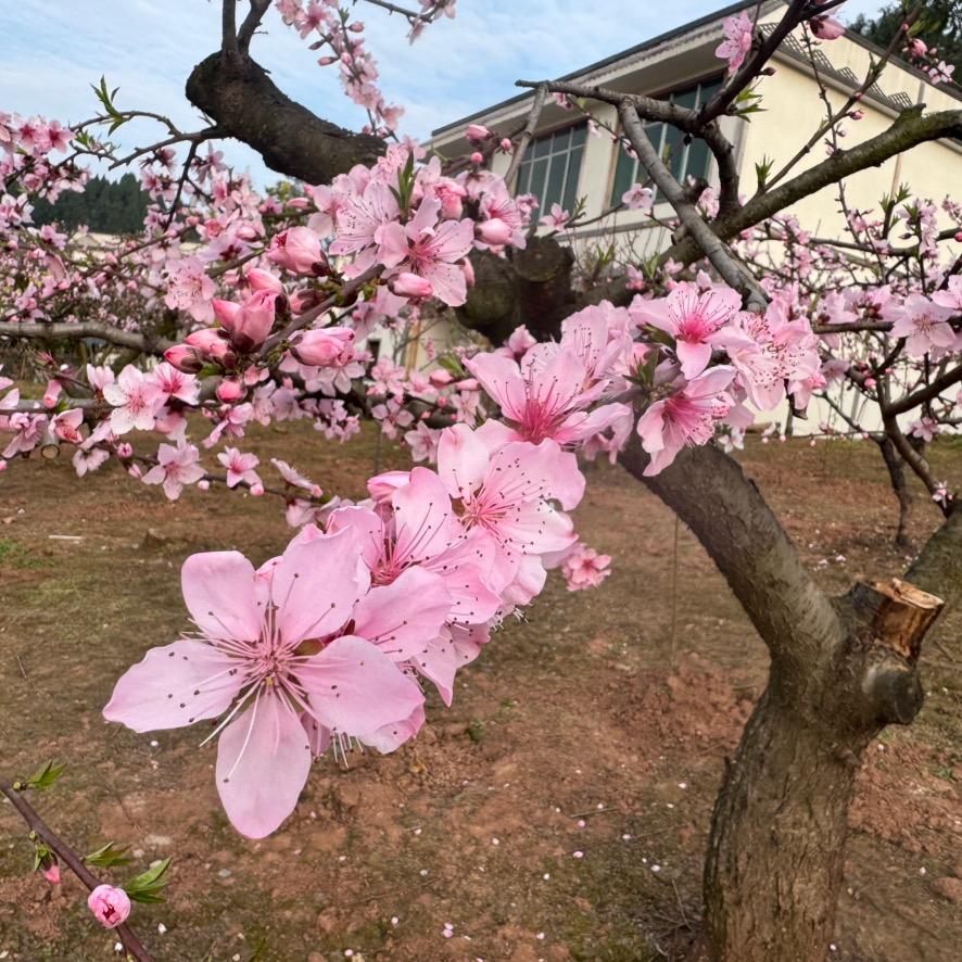 长沙市雨花区靳却百货店（个体工商户）