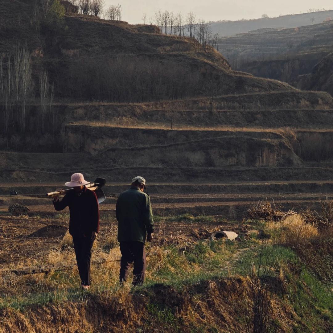 韩衣社(壆岗盛芳园南区店)为了活着-于俩