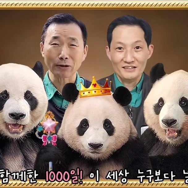 福宝小公主✨