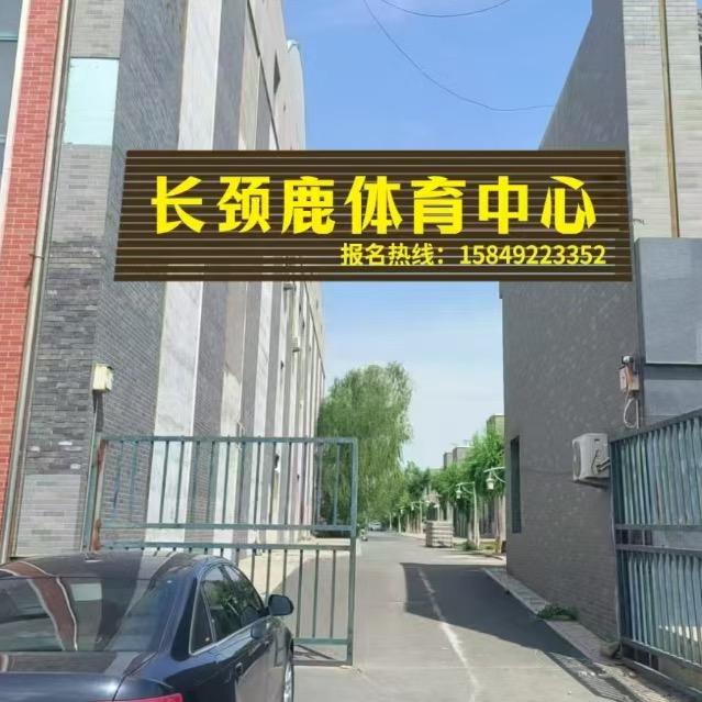 长颈鹿体育中心