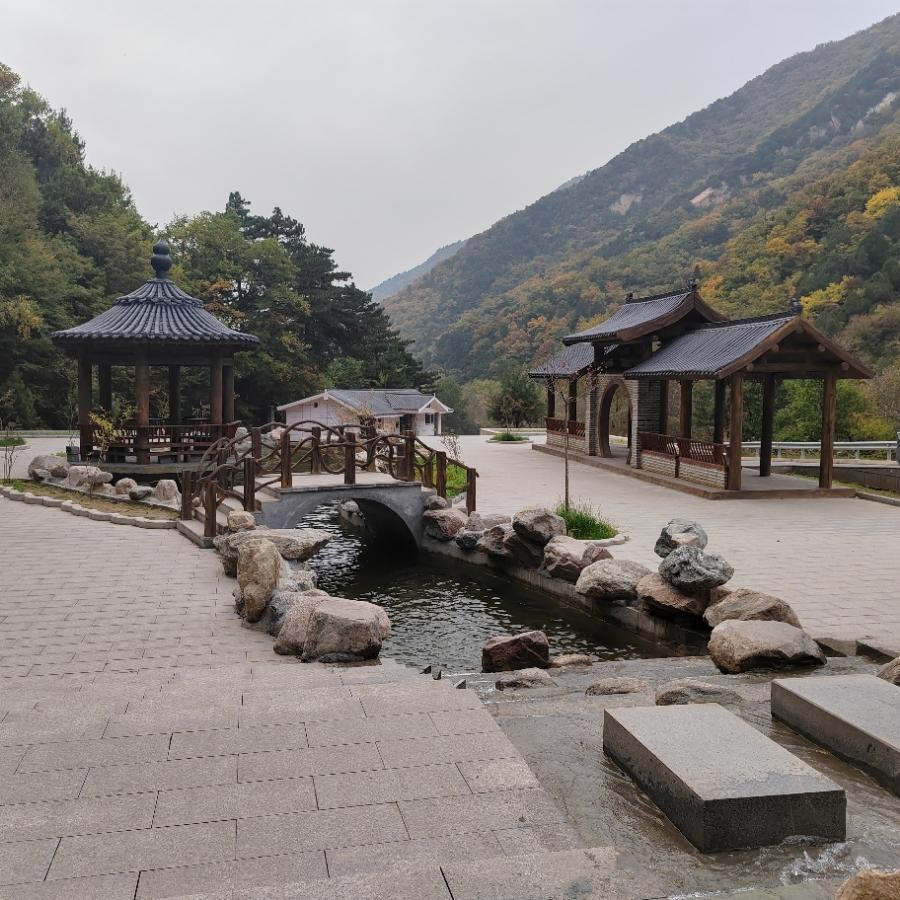凯新