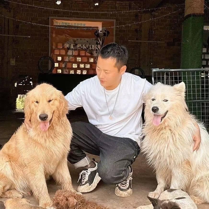 万年杨哥关爱流浪狗