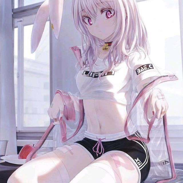 皮塔