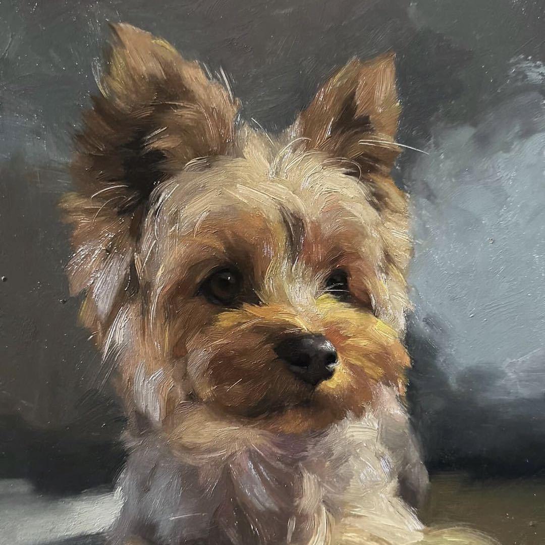 品质基地玫瑰(黎晓/张良/朵拉)