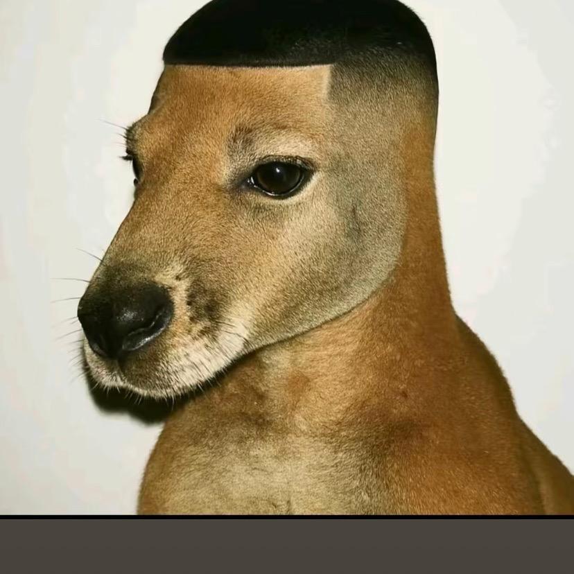 在成都卖房的小帅哥