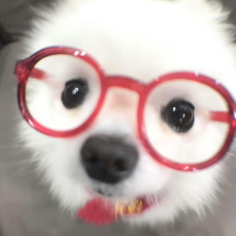 🐶