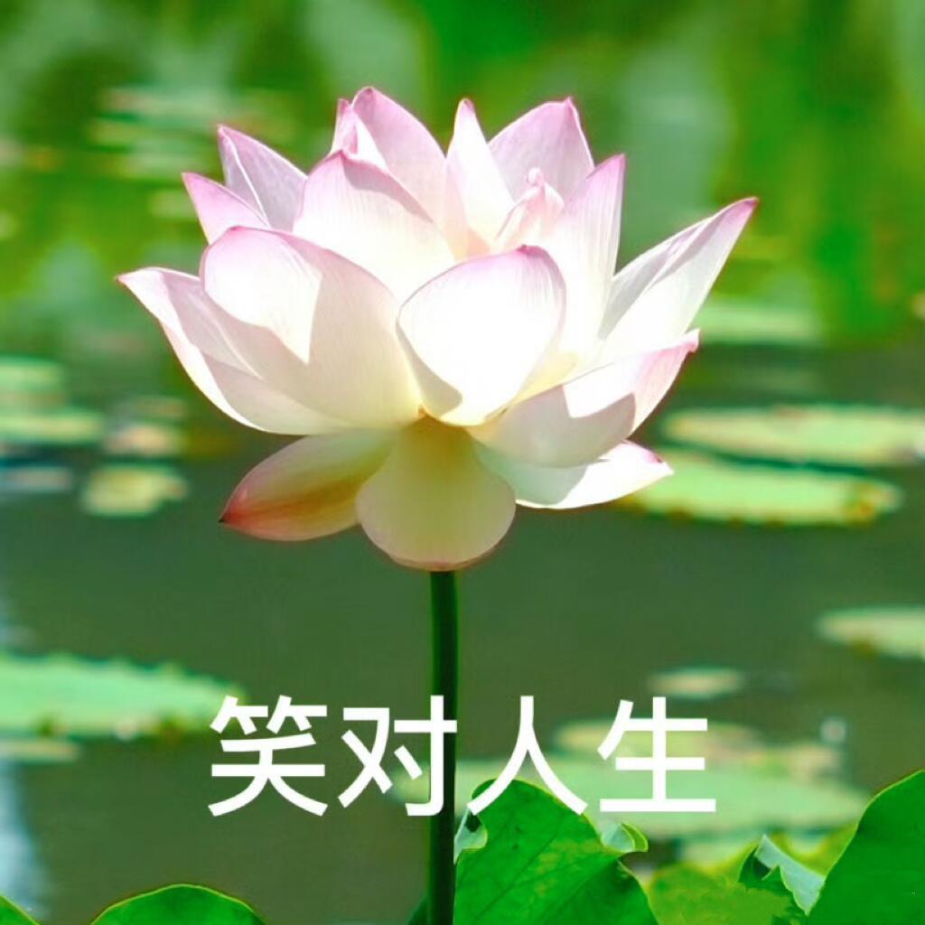 福泽七号