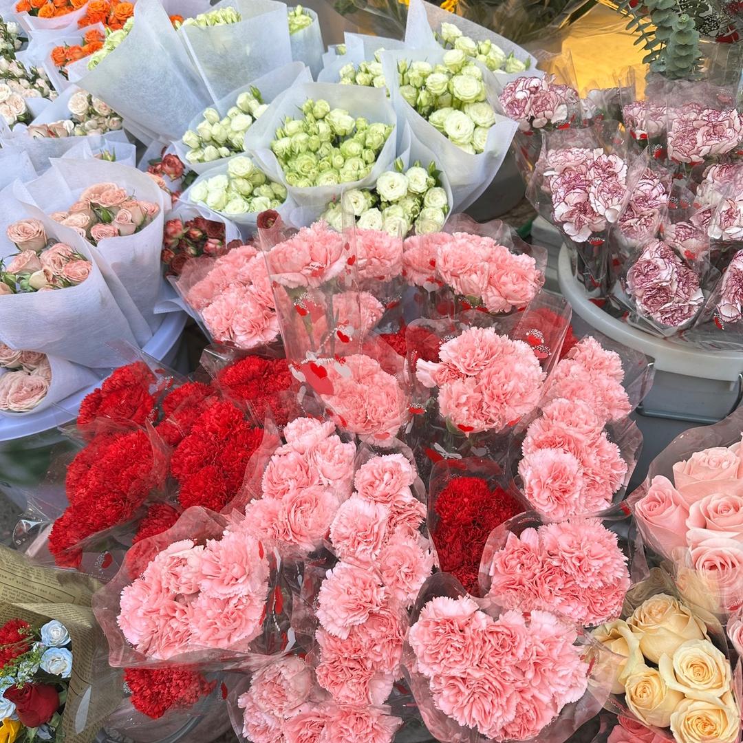 咕咚森林宠粉号（龙湖店）