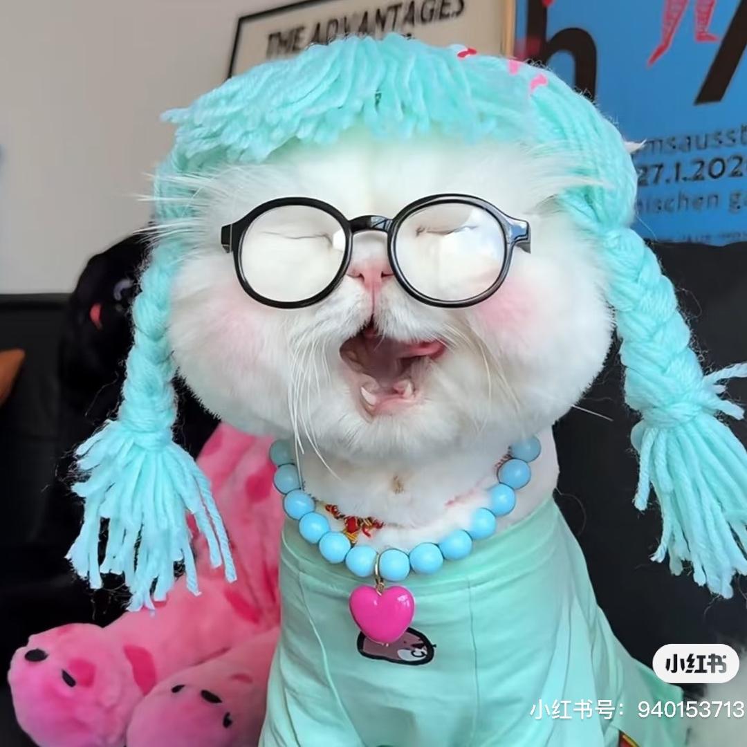 总睡不醒手作diy