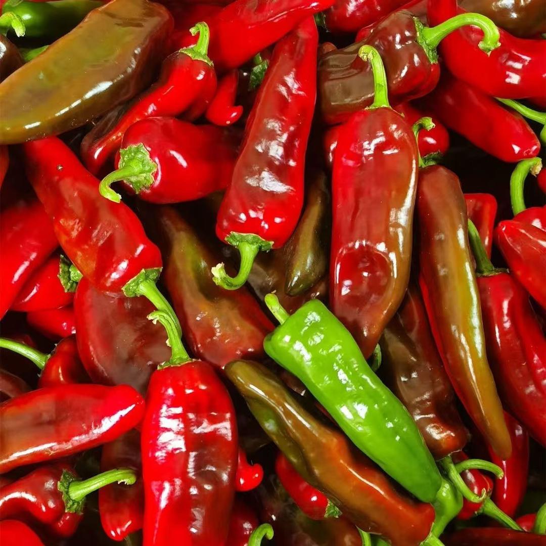 农家辣椒