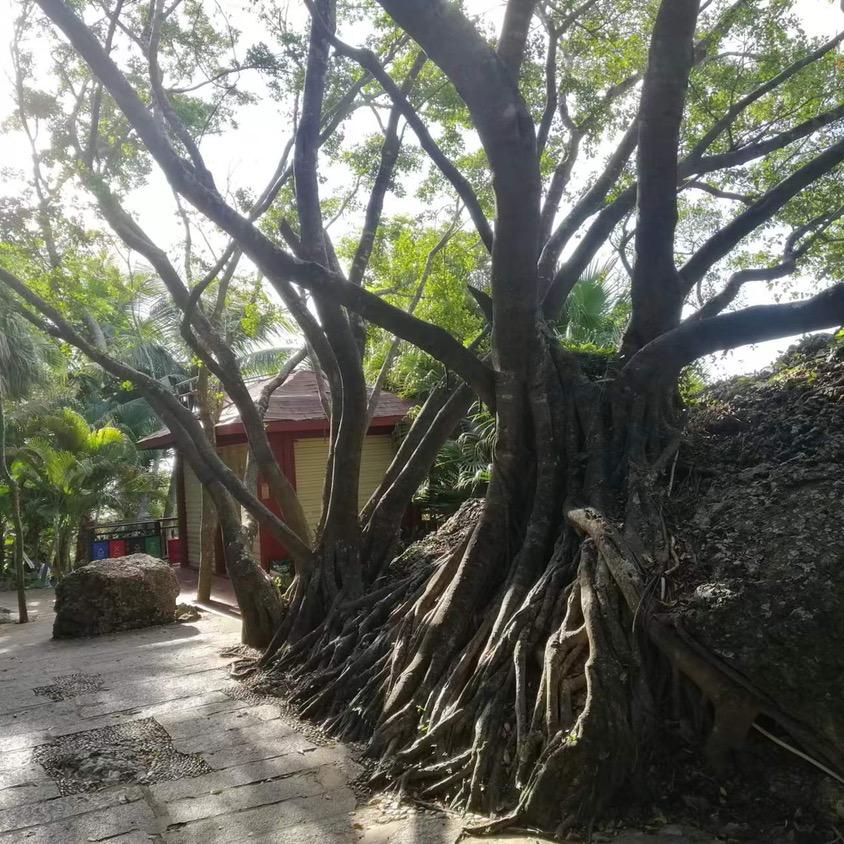顺风顺水¥“l