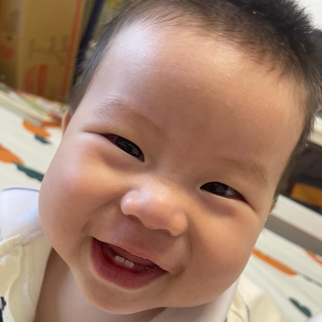 没得感情没得道理