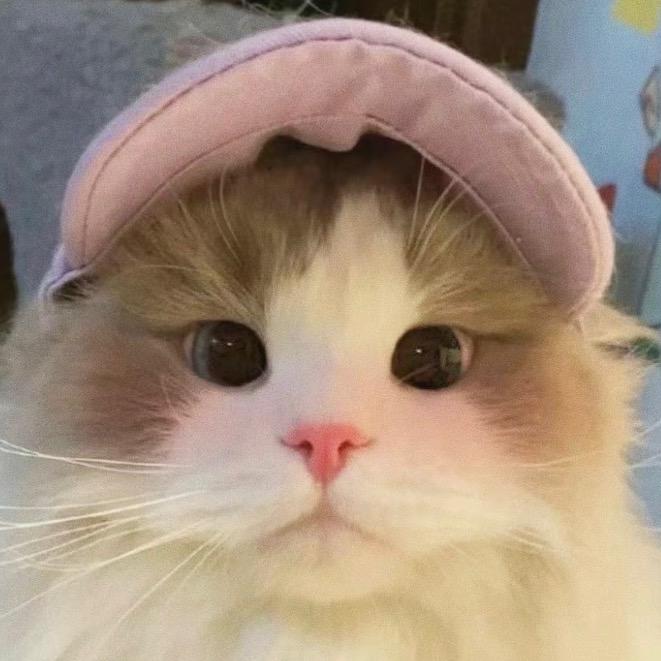 贴贴（三角洲版）