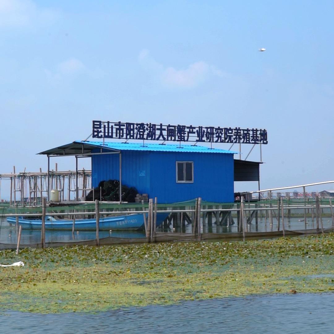 昆山市阳澄湖大闸蟹产业研究院宣传号直播间