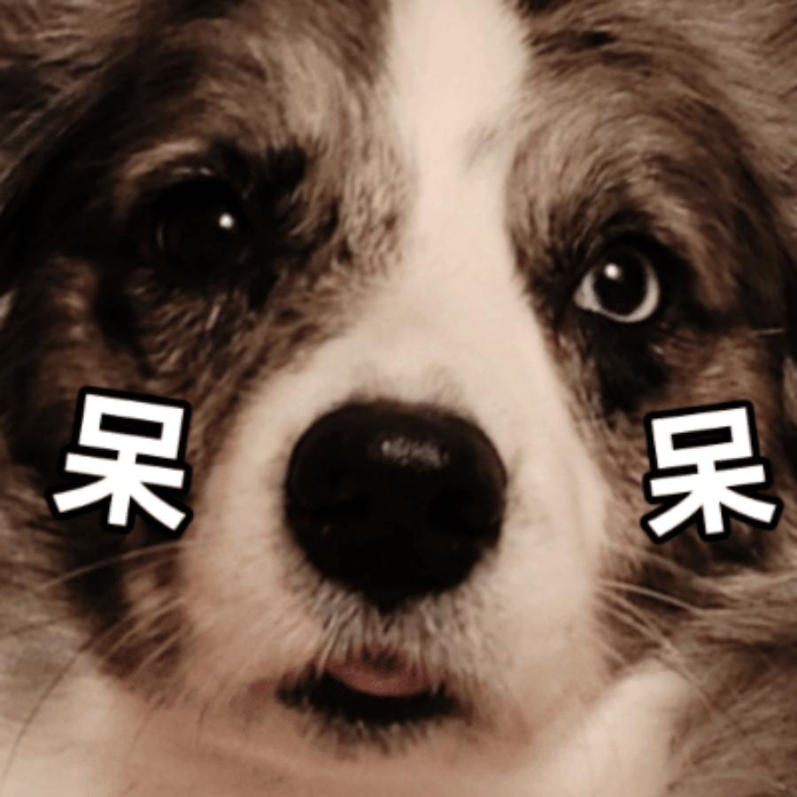 小太阳闪瞎你