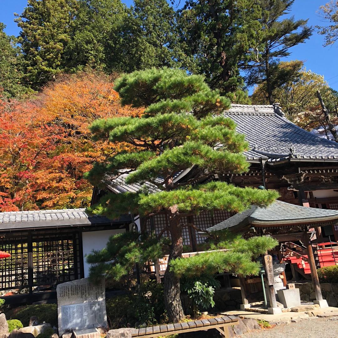 莫言123