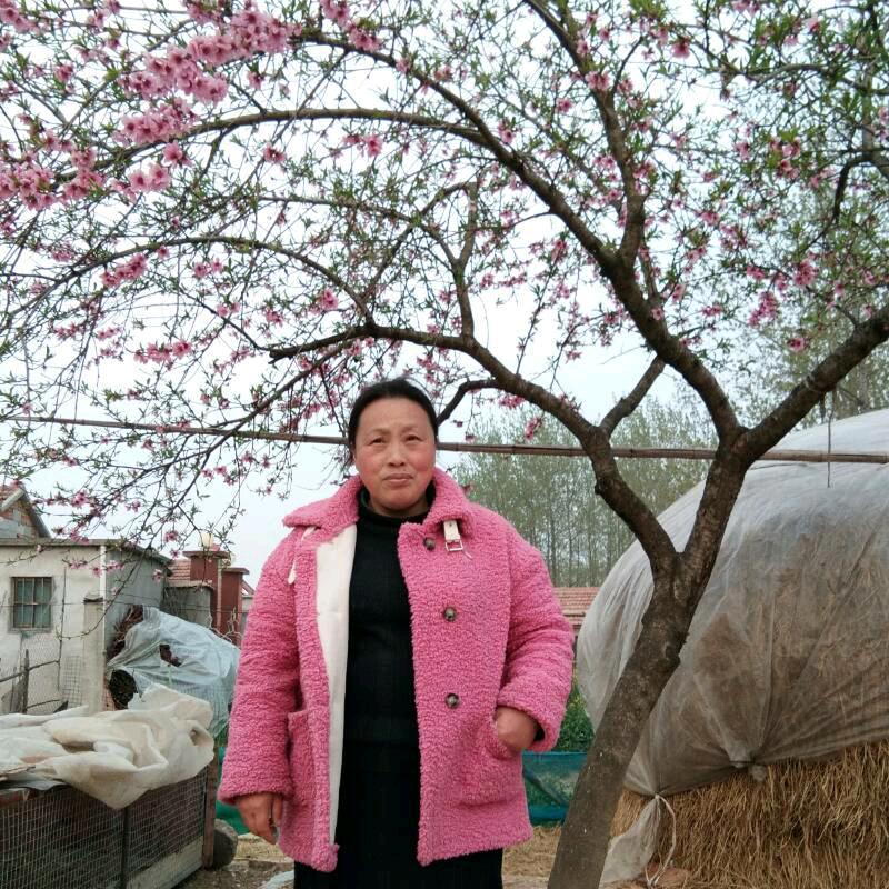 小红💓