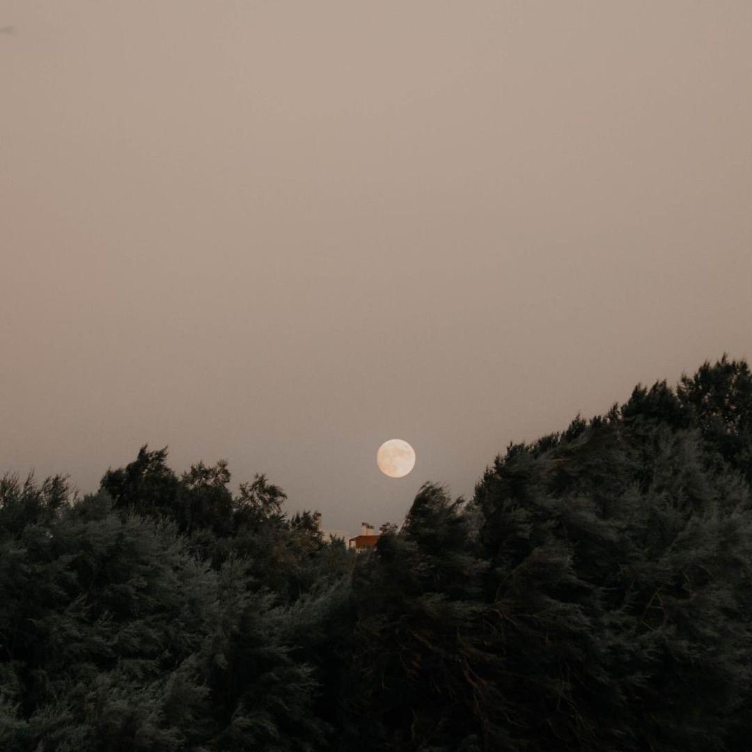 药中某某李