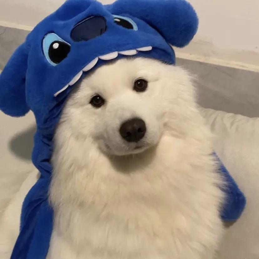 南.