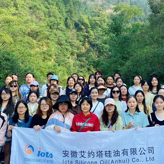 艾约塔硅油有限公司Molly