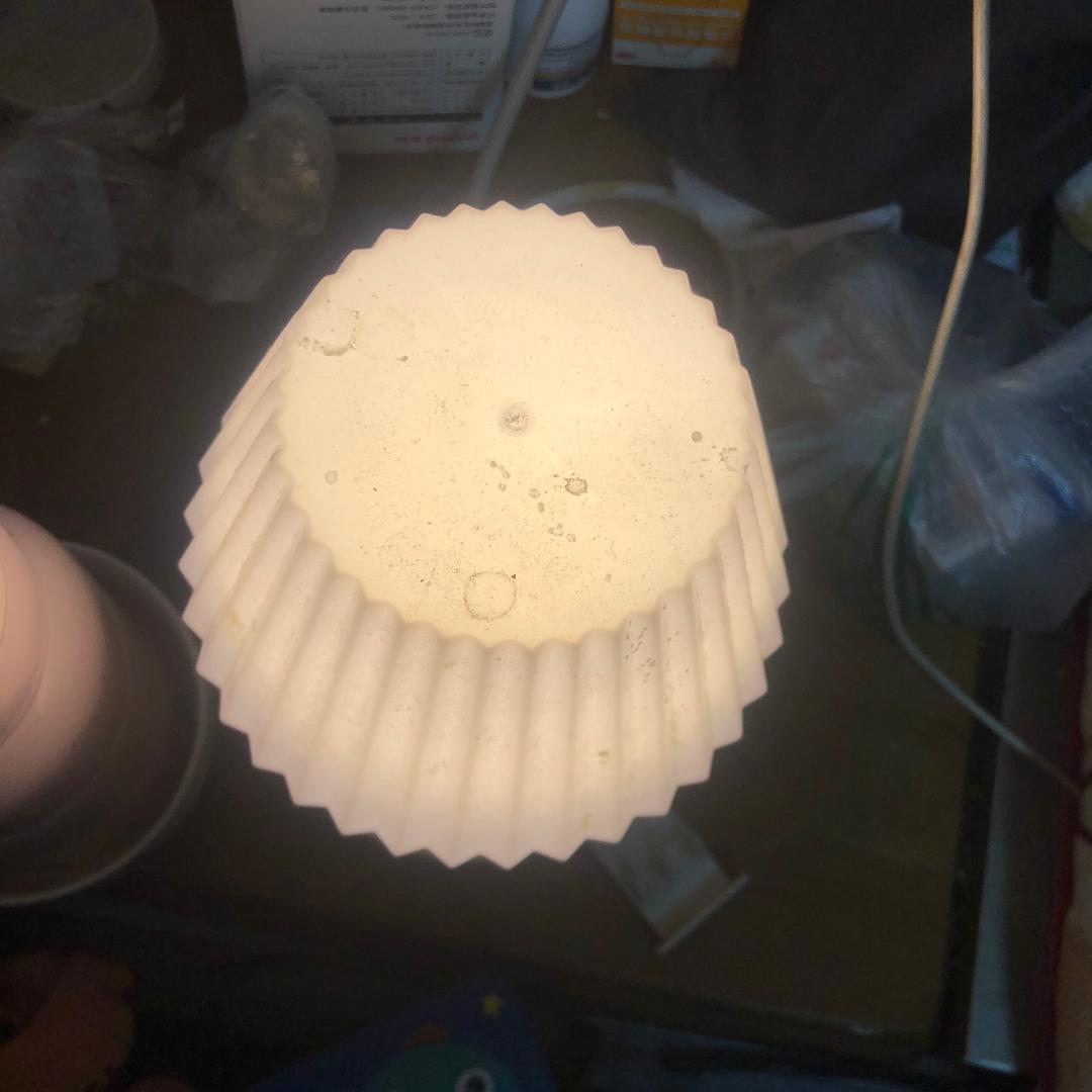 梦动代打是直播号