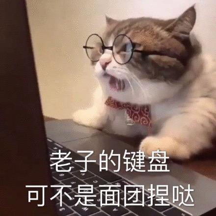 小小KuMa菌