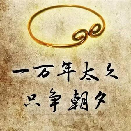 太原郜里左信息科技有限公司