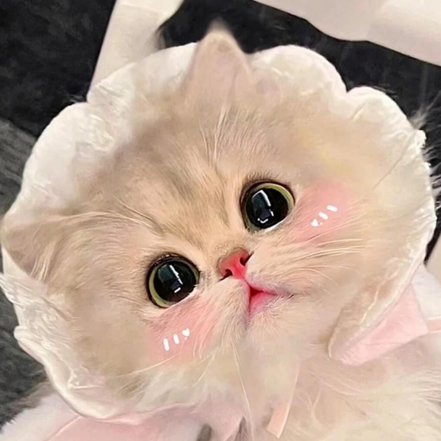 富利五金电料日杂