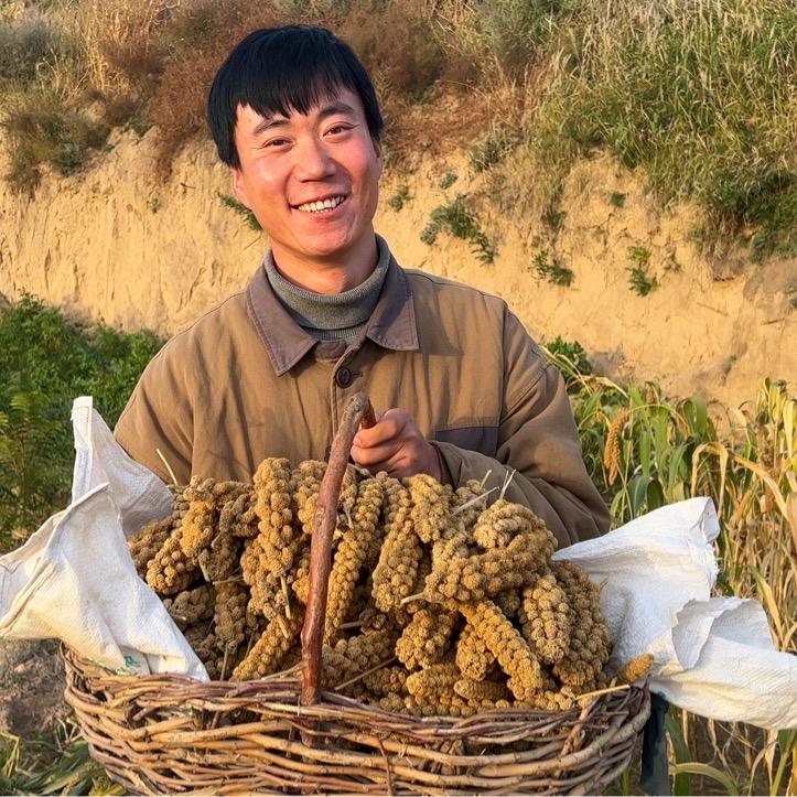西北娃贝贝特产优选