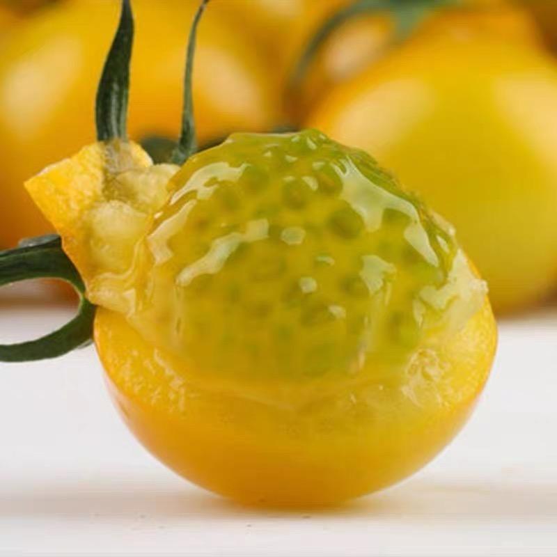金鹏农业