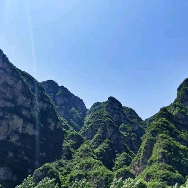 醇基燃料