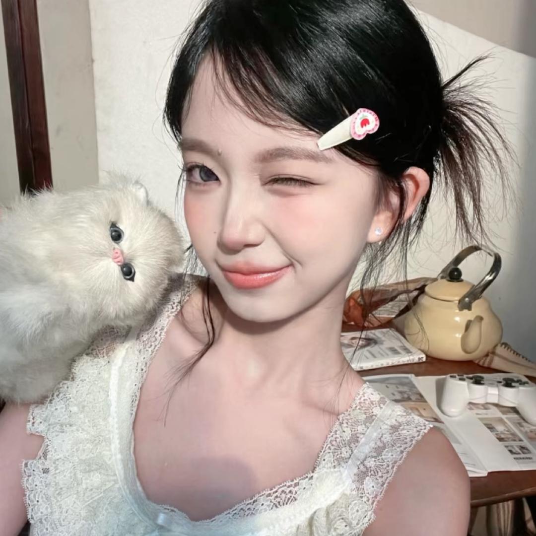 会飞的前女友.