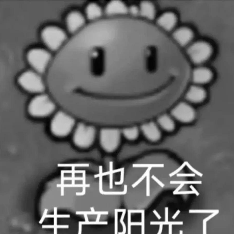 帅就一个字却跟了我一辈子