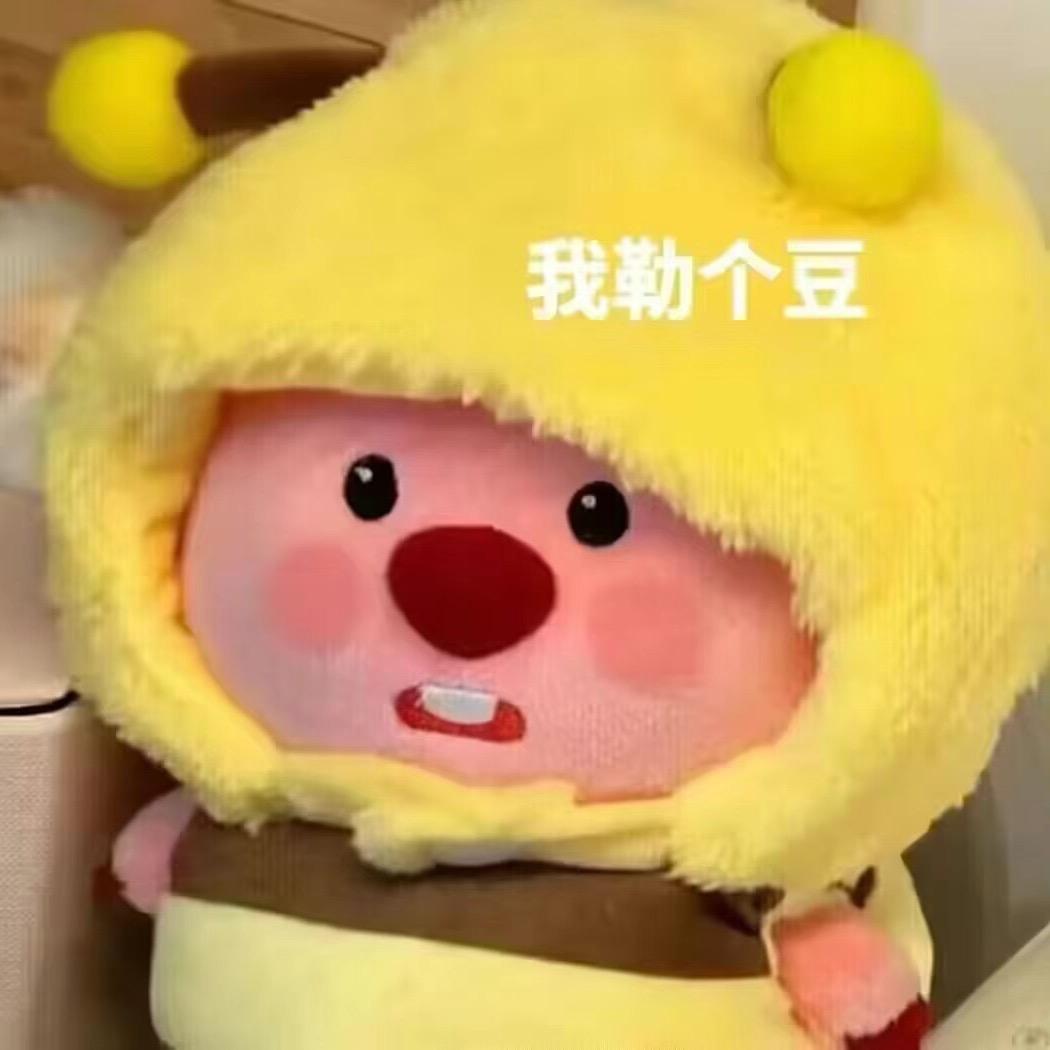 lana小标兵🫡