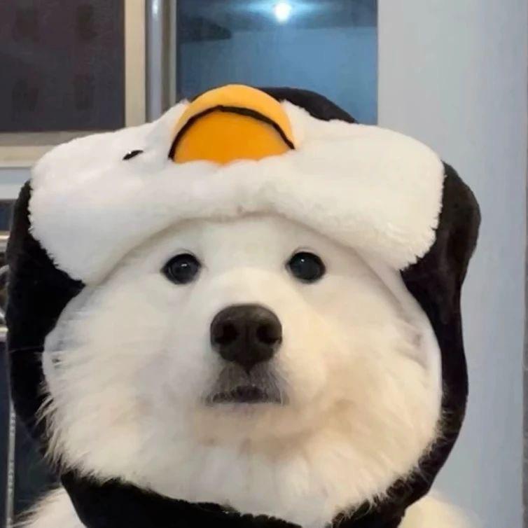 潮玩°C