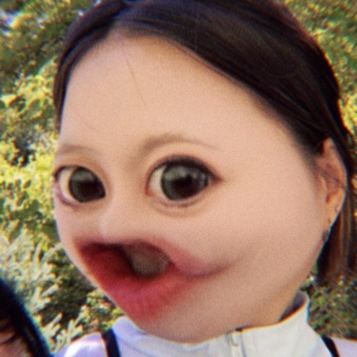 蚊子包包