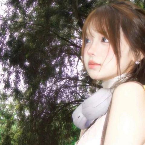 蚊子大王