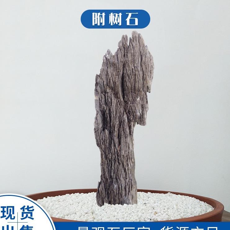 鸿运堂盆景园艺