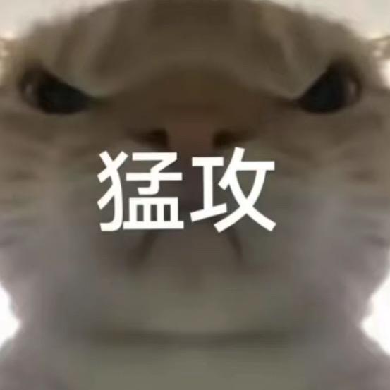 豆花666