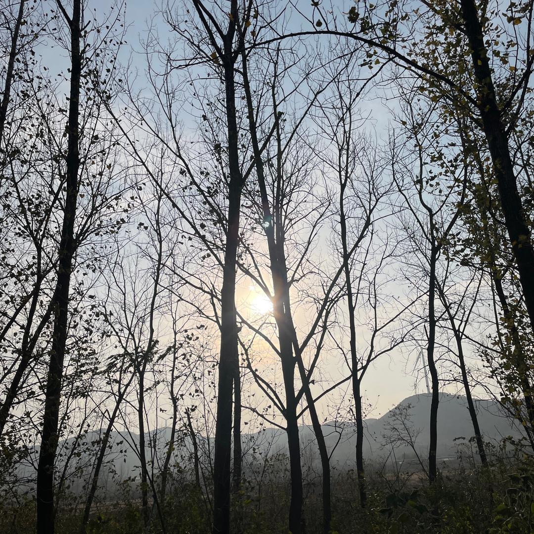 🍇🍓🍭🍿🍮🍡🍧t6