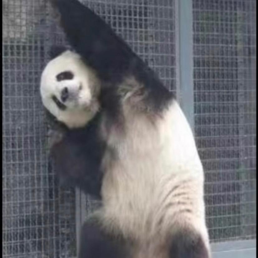 ug编程杰尼