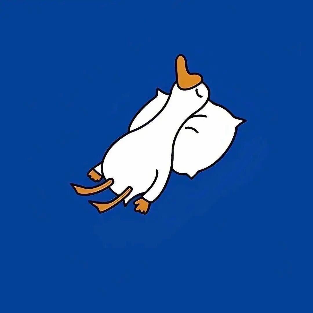 胖球球